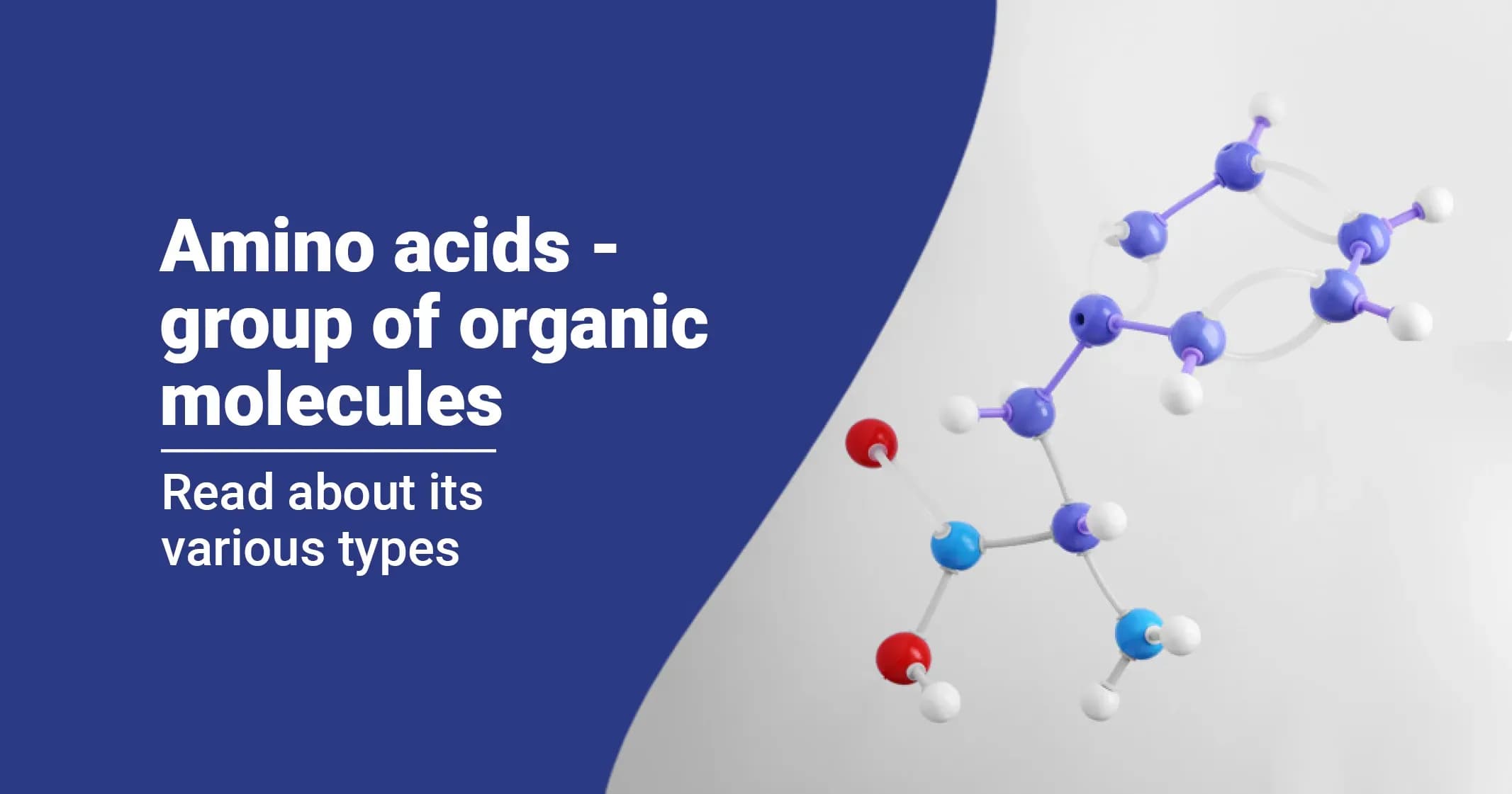 Amino acids