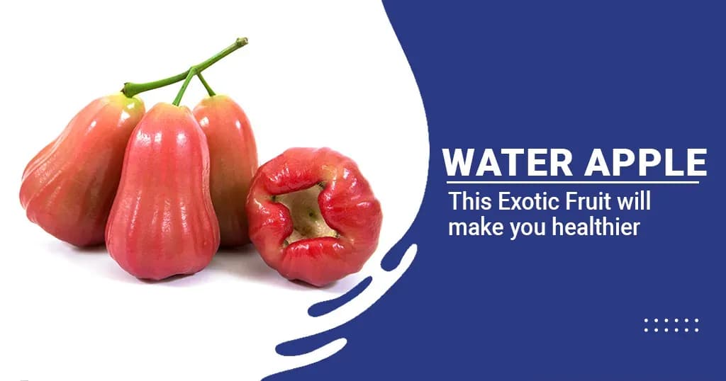 Water Apple: Astonishing Health benefits and nutritional values