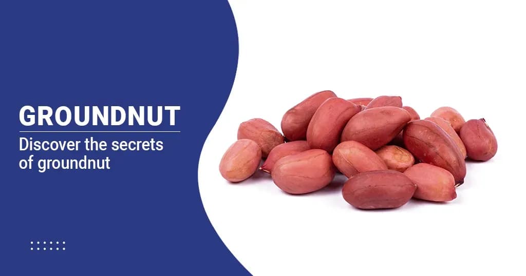 Ground nut (Peanut) – Nutrition, Health Benefits & side effects