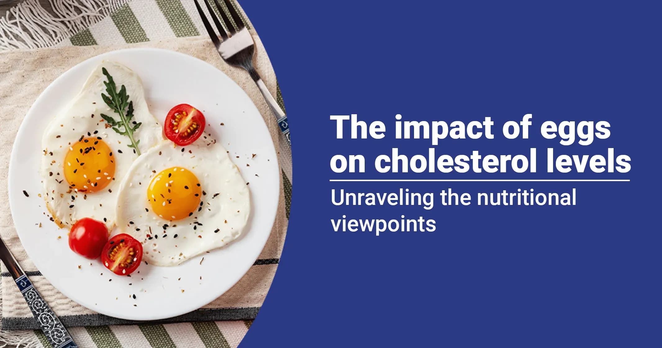 Understanding the Impact of Eggs on Cholesterol Levels