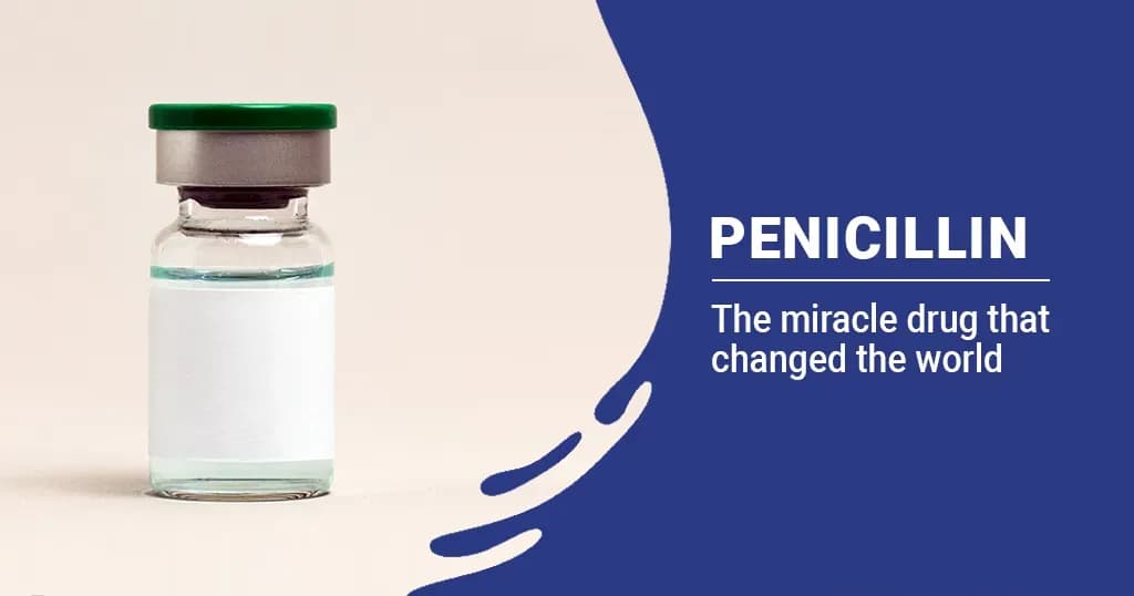 Penicillin - Uses, Side Effects &amp; Allergy Warnings