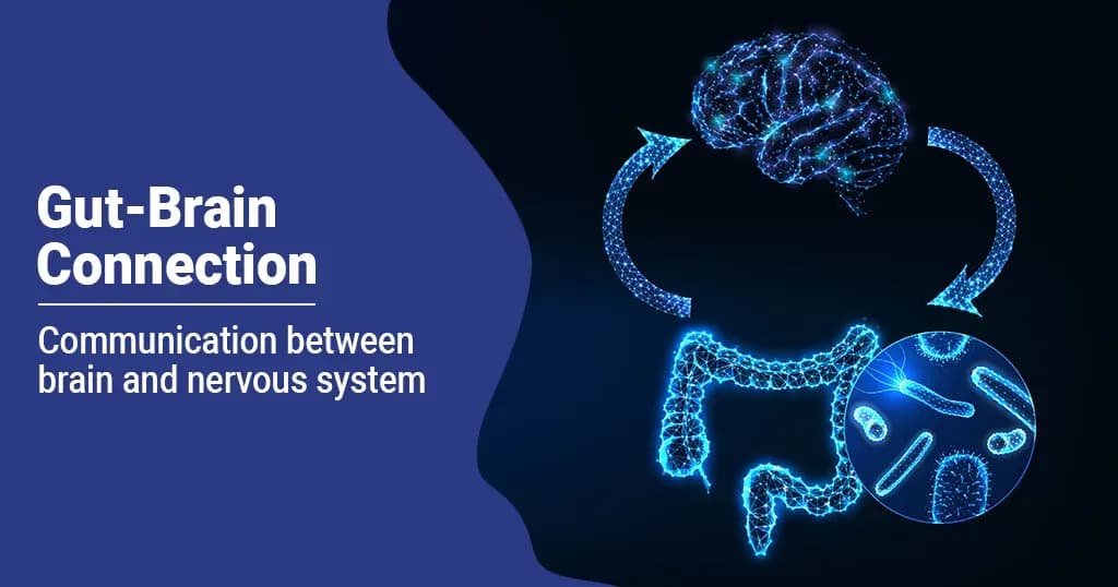 What is a Gut-Brain Connection?