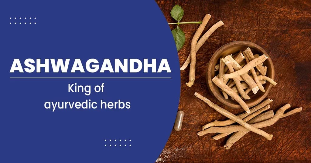 Health Benefits of Ashwagandha