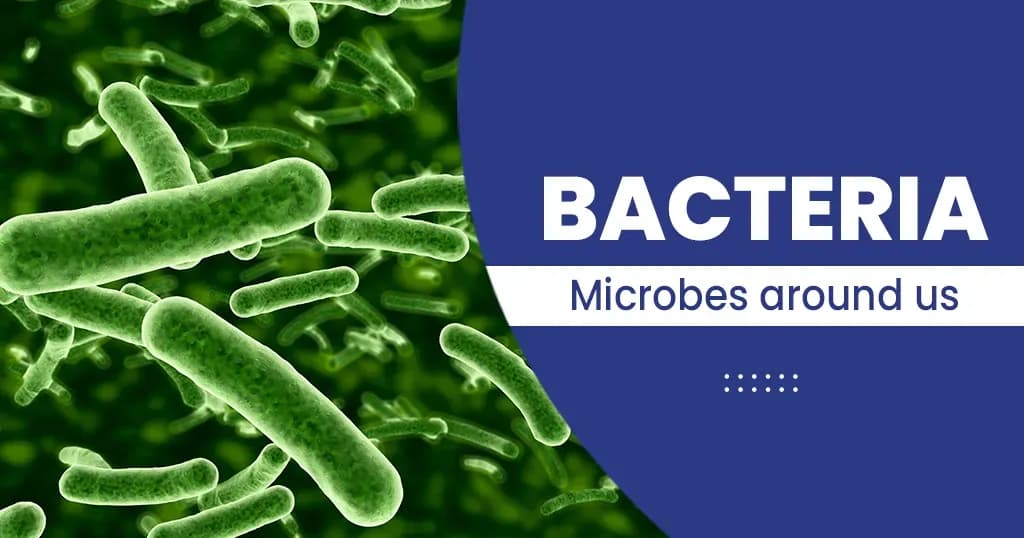 Bacteria and its Types