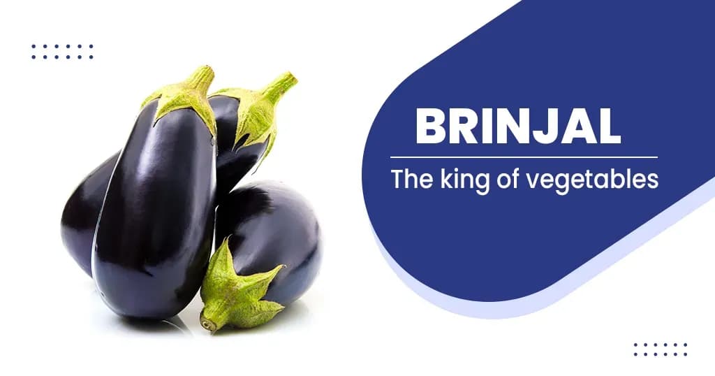 King of vegetable -Benefits-Risk Factors