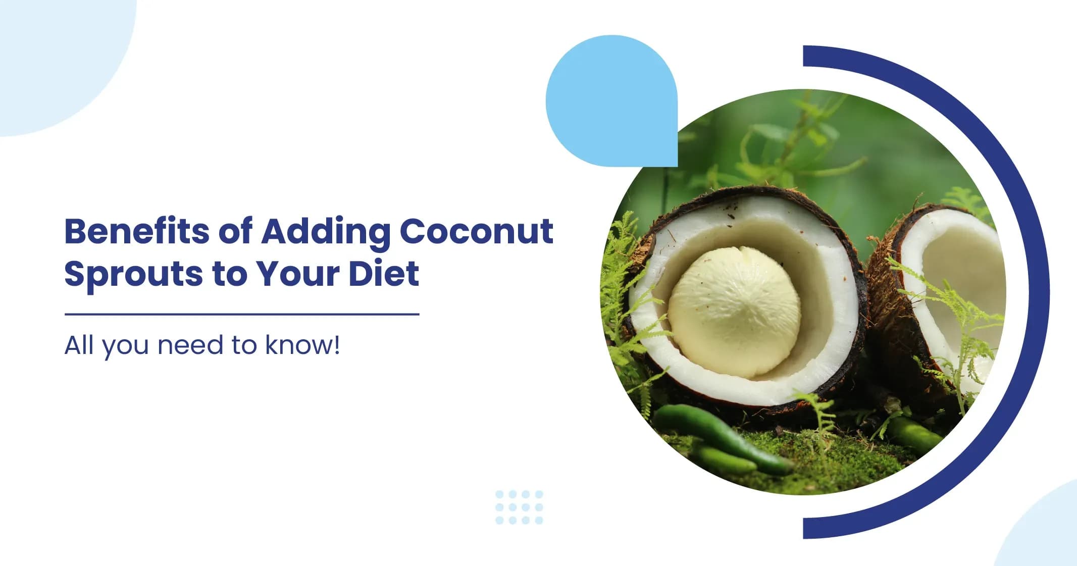 Benefits of Adding Coconut Sprouts to Your Diet