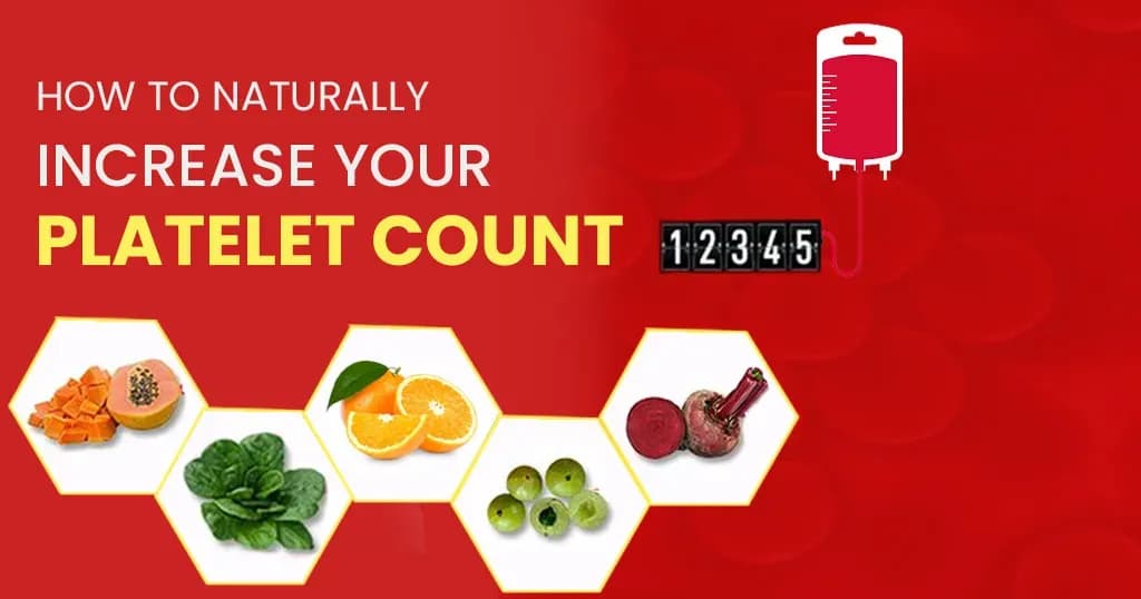 How to naturally increase your platelet count