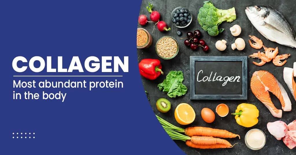 Collagen - Overview, Types, Roles, Causes, Benefits Of Collagen