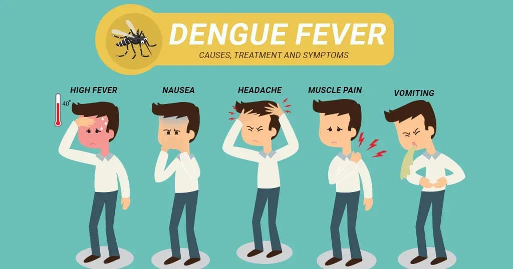 Dengue Fever - Causes, Treatment and symptoms