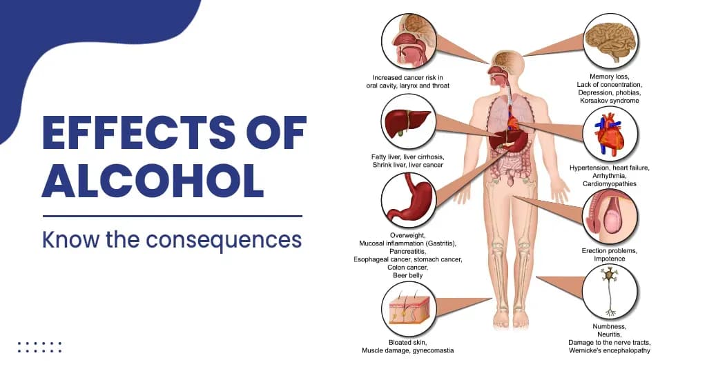 What are the effects of alcohol on the body?