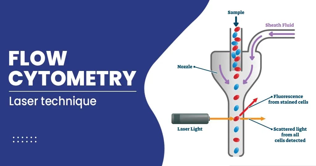 How Does Flow Cytometry Work?