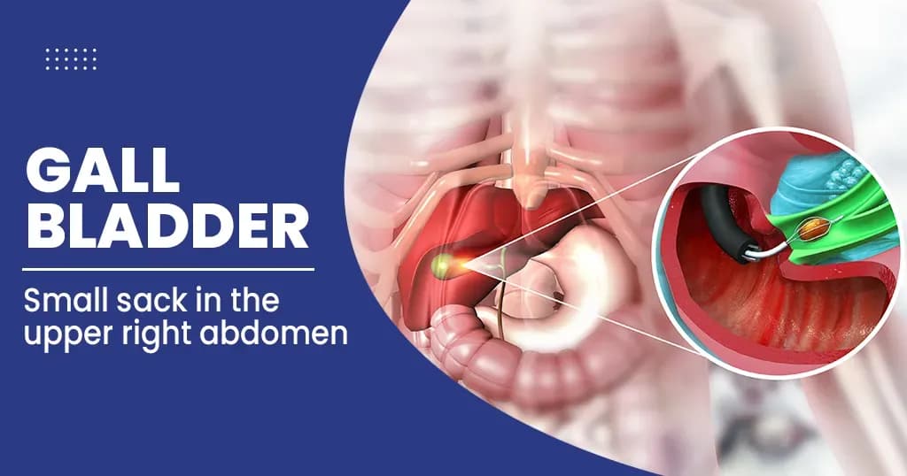 Gall bladder disease- Types, Symptoms, and Treatments