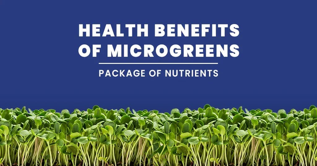 Health benefits of microgreens