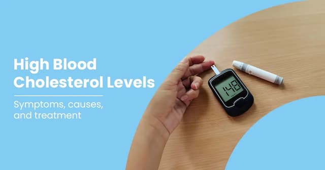 High Blood Cholesterol Levels - Symptoms And Causes