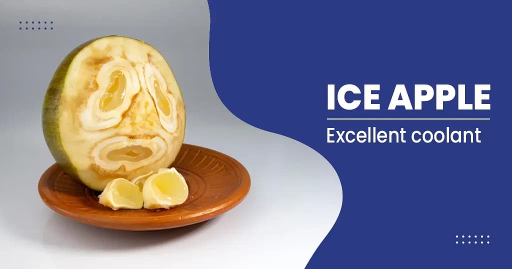 Amazing Health Benefits of Ice Apple