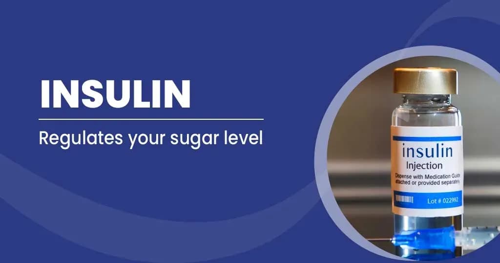 Insulin: Function and types