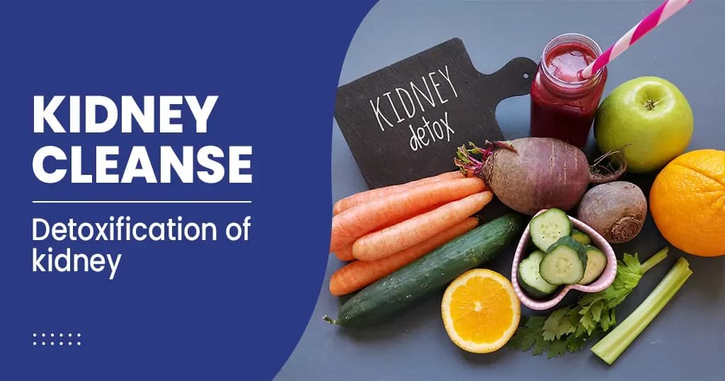 Best ways to Cleanse your Kidneys