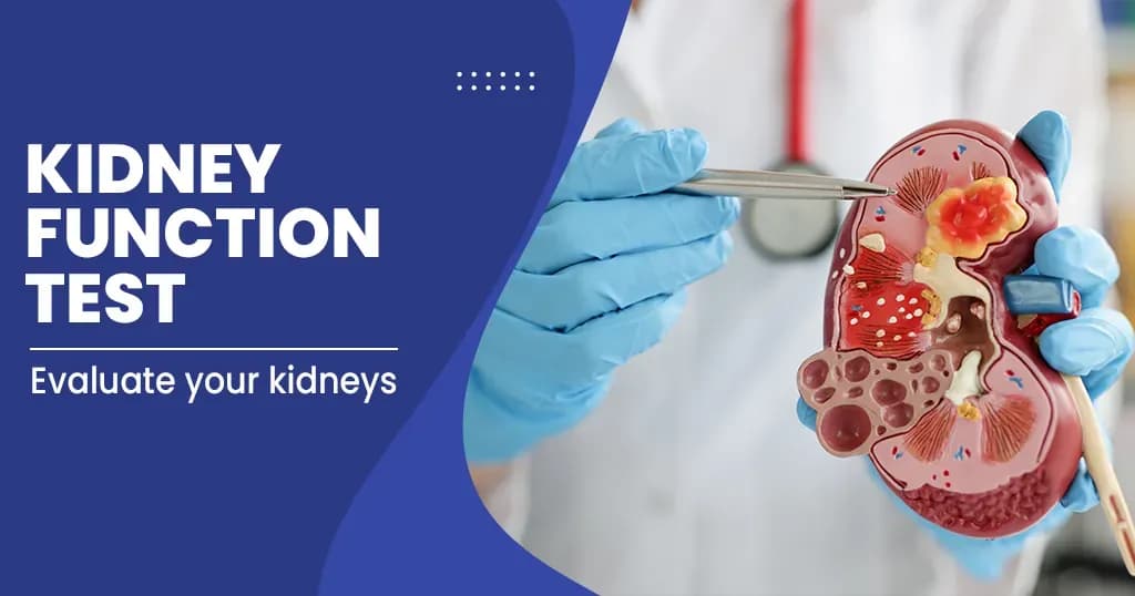 Chronic Kidney Disease Tests-Overview-Types-Causes