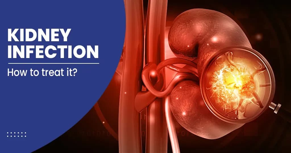 Kidney Infection - Symptoms, Treatments, Preventions