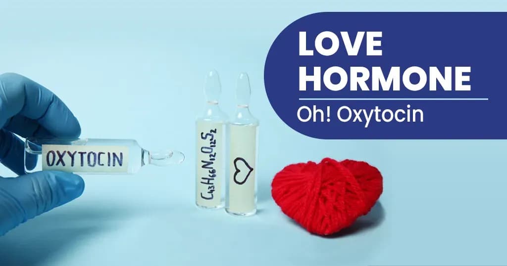 Love hormone — What is it?