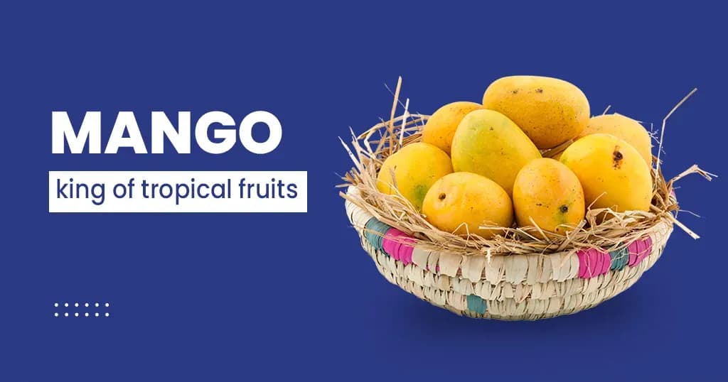 Mango and its health benefits