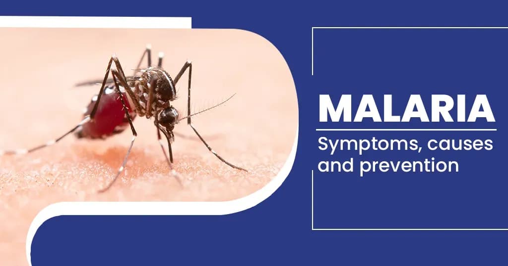 Malaria — Symptoms, causes, treatment, prevention and diet