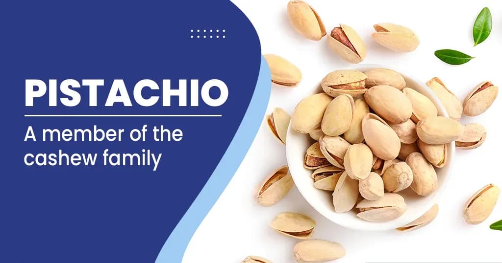 Health Benefits of Pistachios