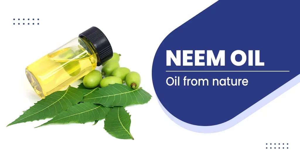 Health benefits of Neem oil 