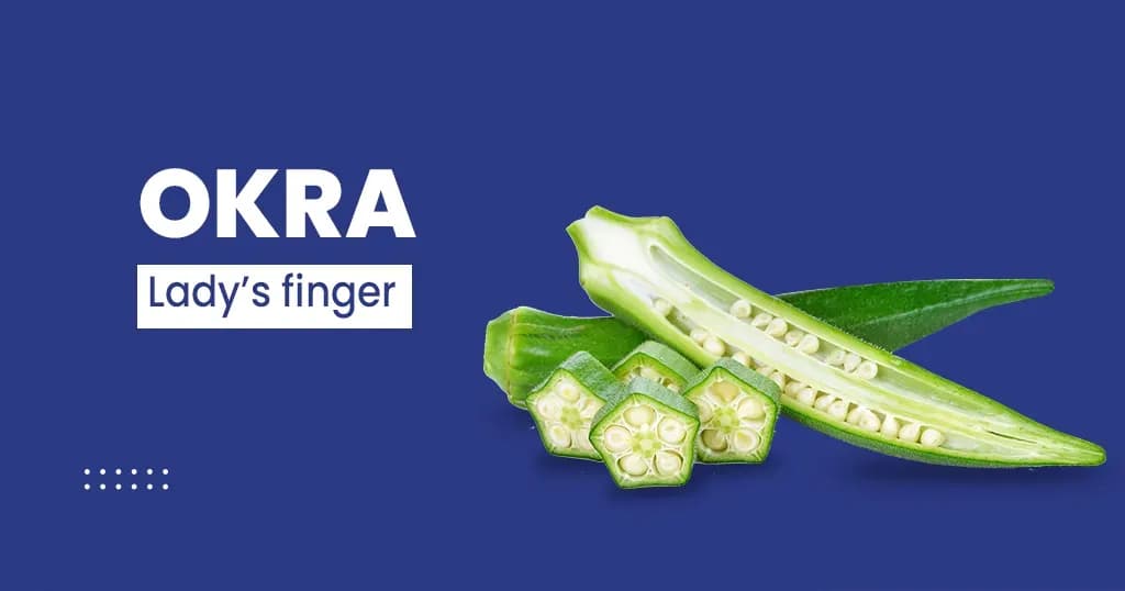 Okra - Nutritional value and Health benefits