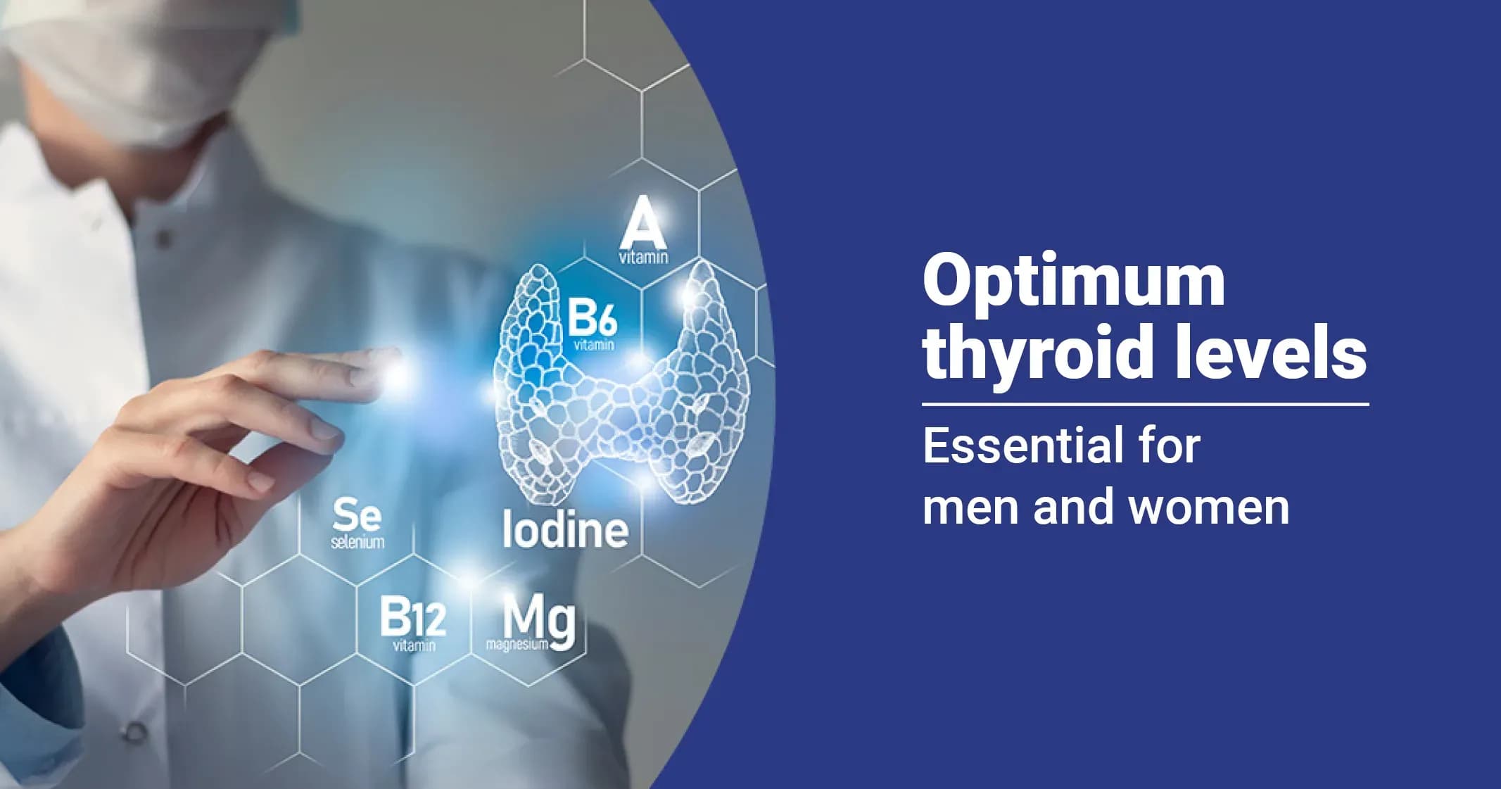 Optimum thyroid levels for males and females