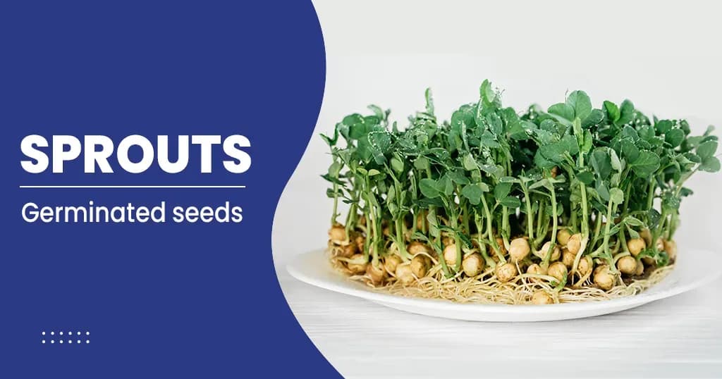 Sprouts: Benefits and side effects