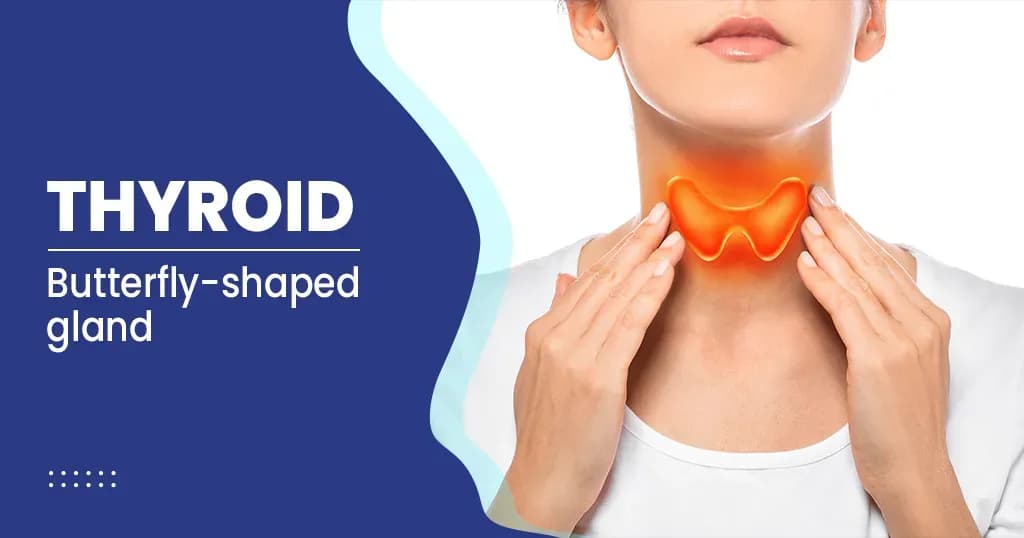 Thyroid - Types, Causes, Symptoms, and Treatments