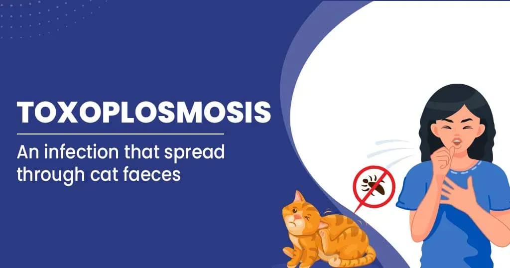 Toxoplasmosis causes symptoms and treatments