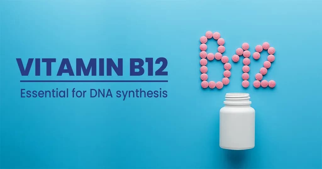 Vitamin B12 Deficiency – Symptoms, Risk Factors, and Prevention