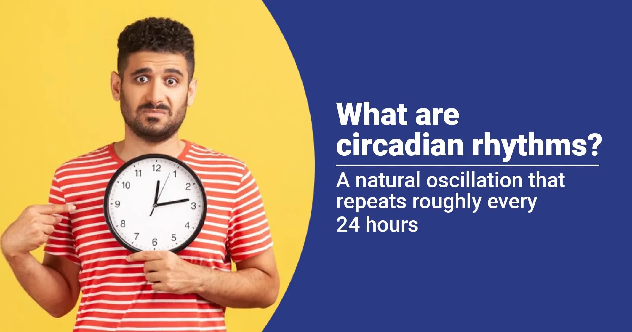 What are Circadian Rhythms?