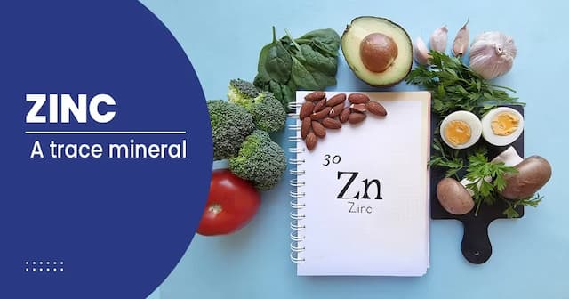 Potential benefits of Zinc and what does it do for the body