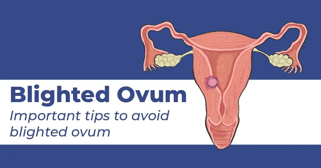 Blighted ovum - What causes it?