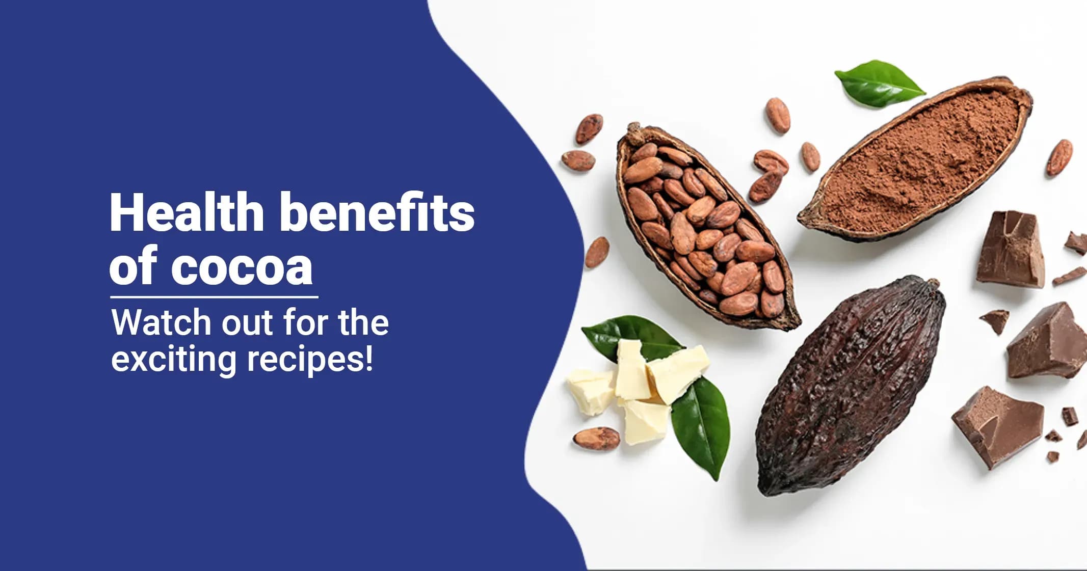 Cocoa - Uses & Side Effects