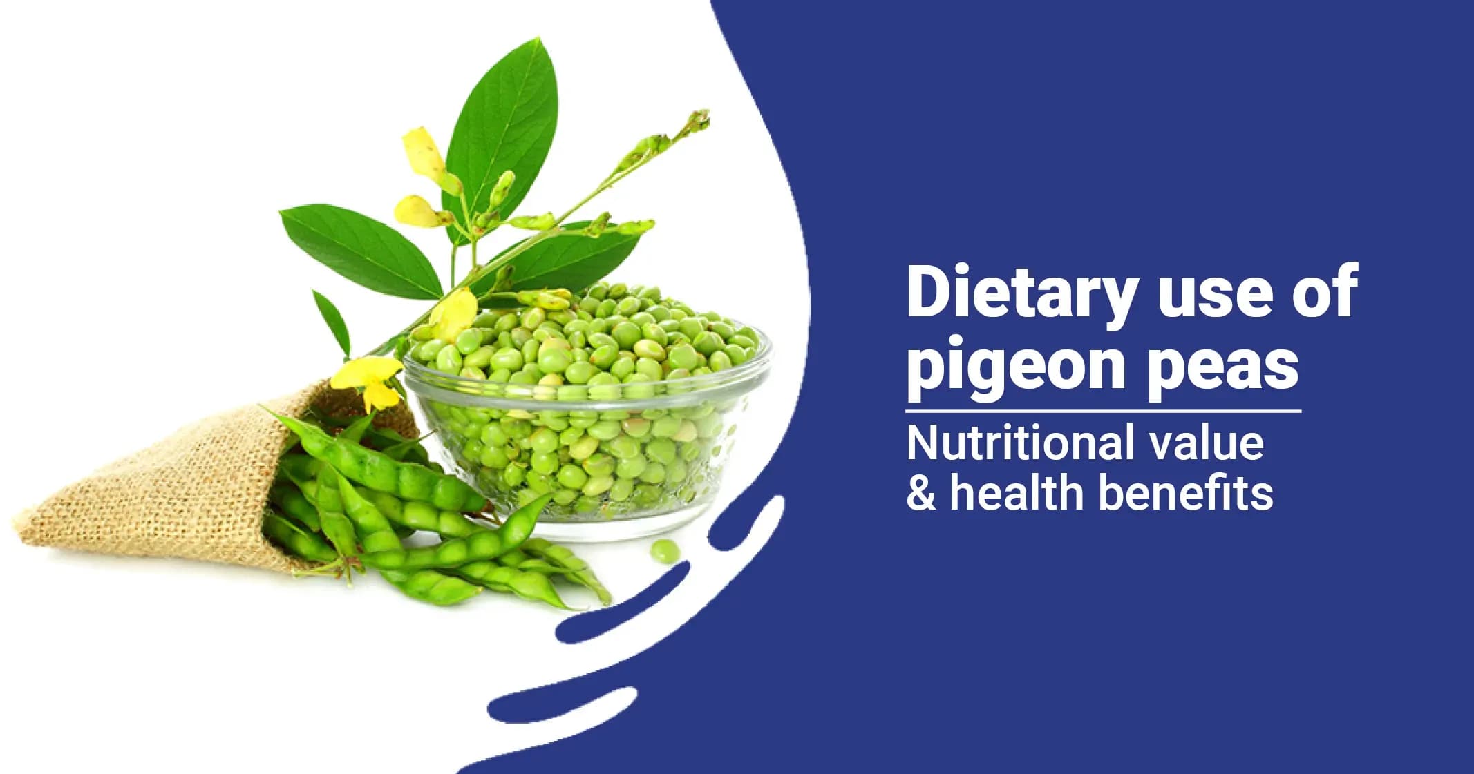 Pigeon Pea Benefits and  Nutritional Profile