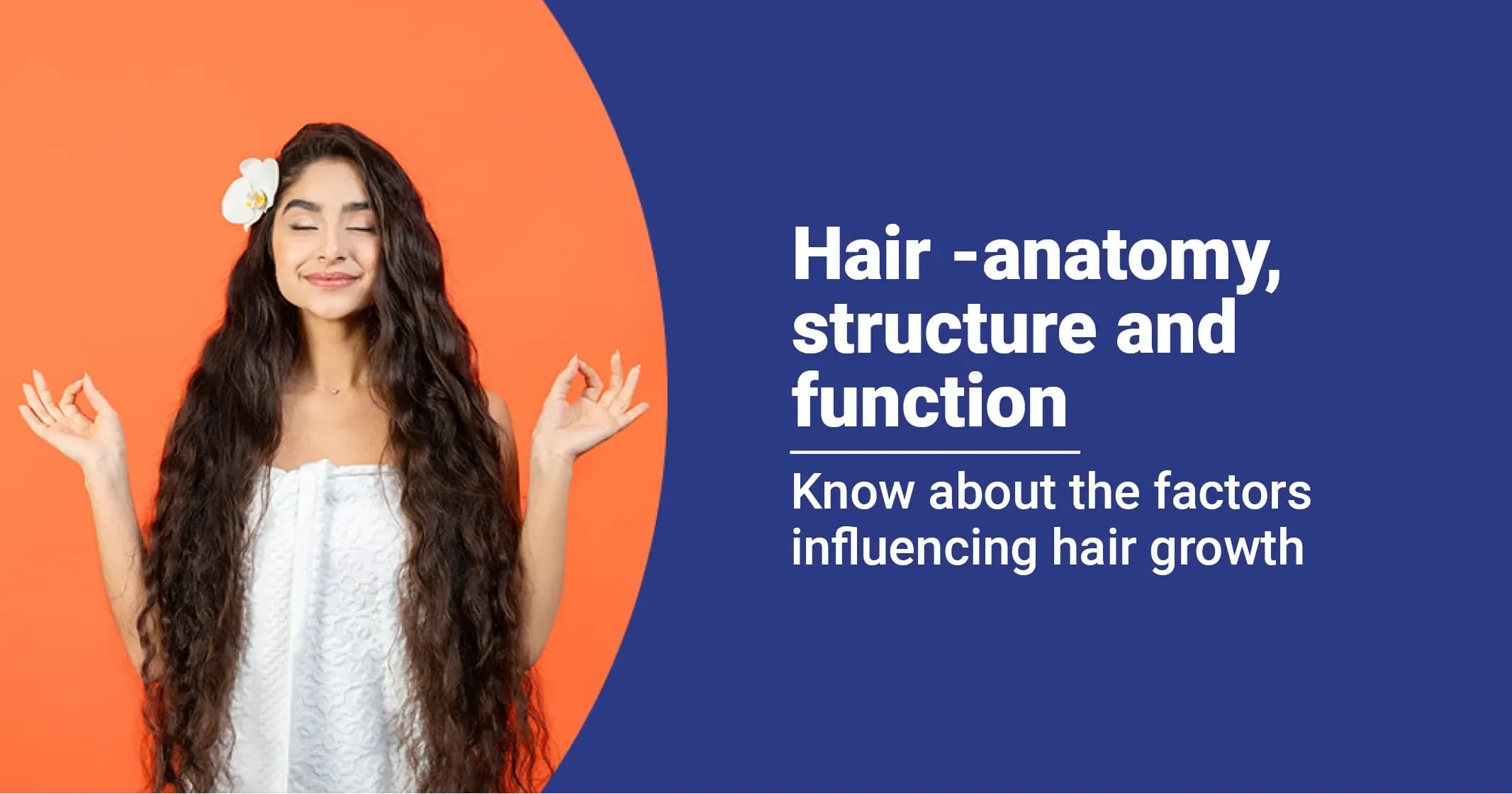 Hair Anatomy - Structure and How Does It Grow