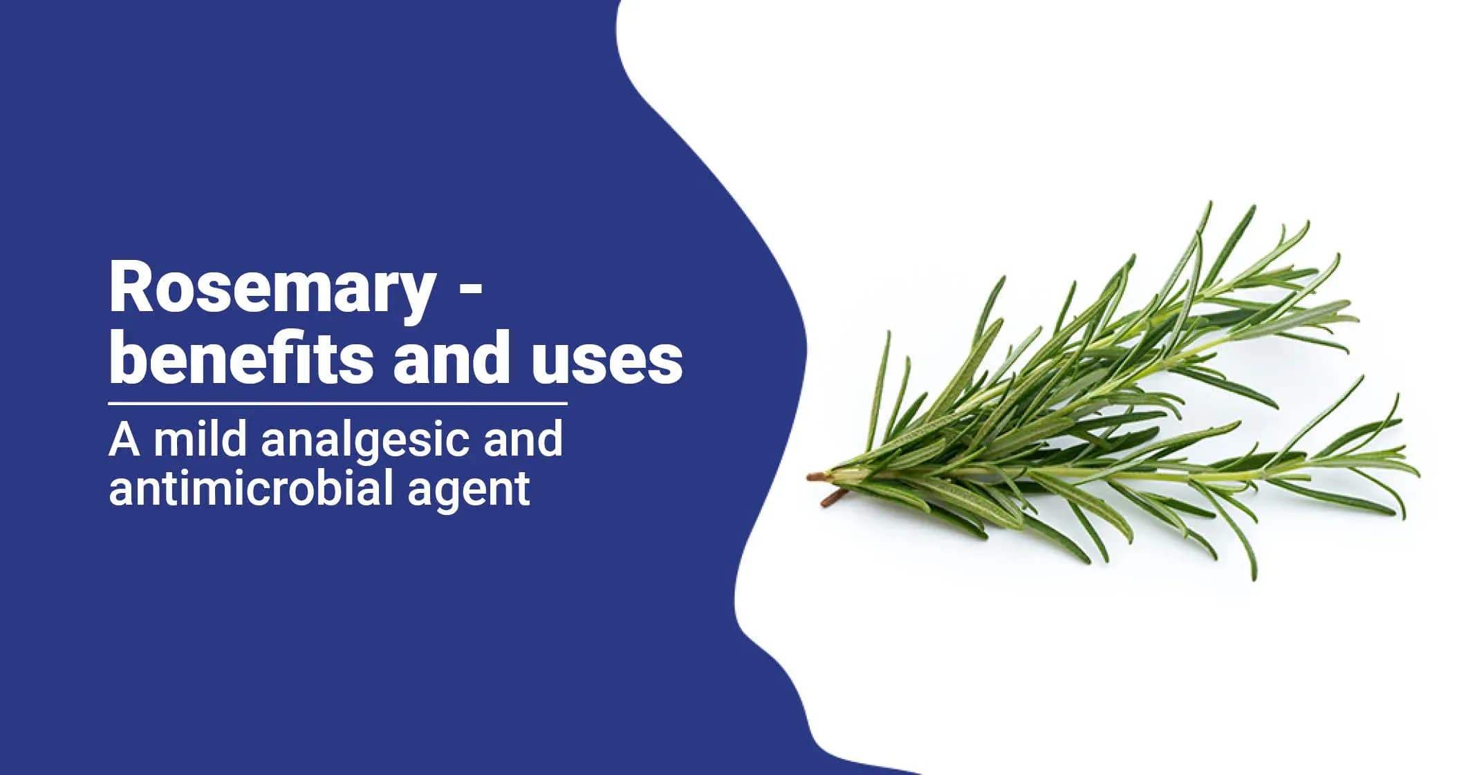 Rosemary: Advantages, Safety Measures, and Amount to Take