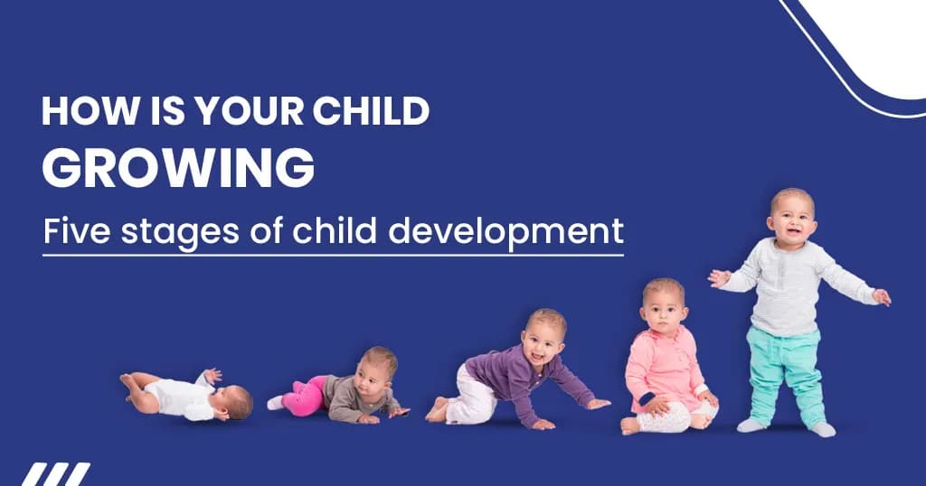 Five stages of child development