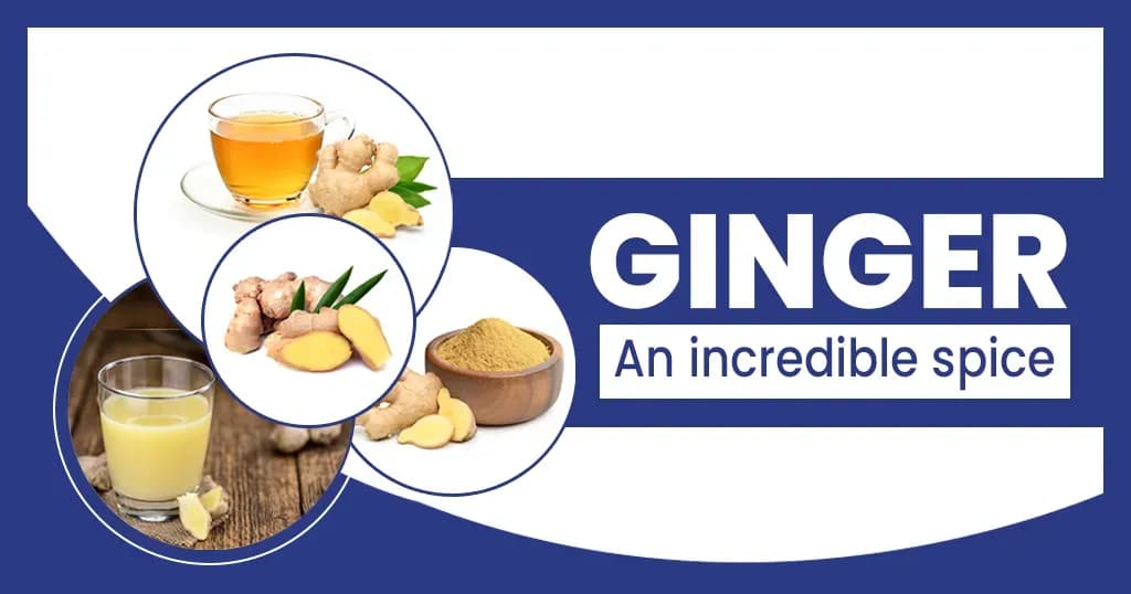 10 Proven Health Benefits of Ginger