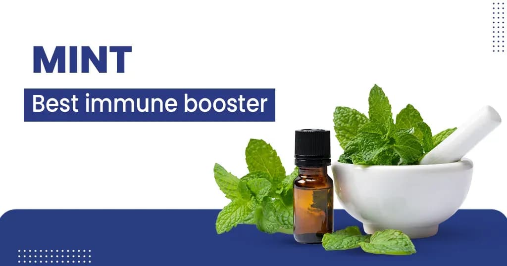 Mint Leaves: Various health benefits