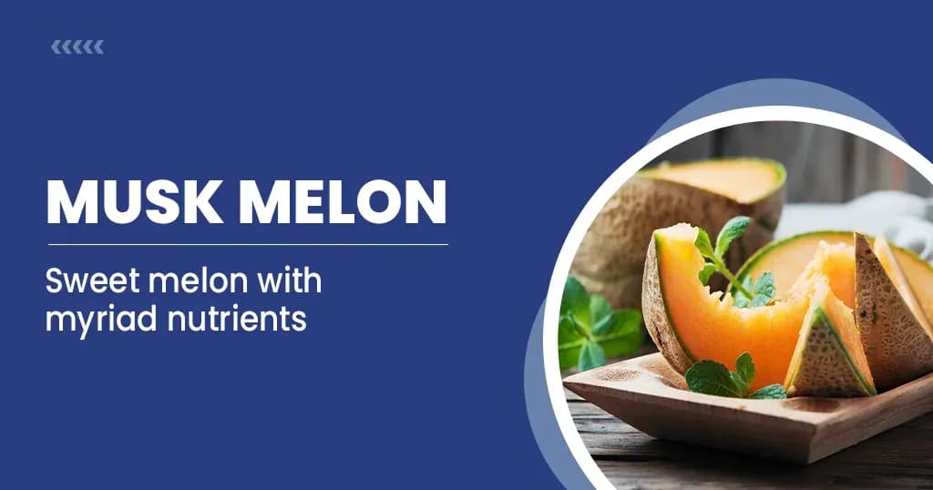 Muskmelon: Benefits, Nutritional Facts and More