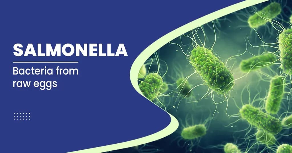 Salmonella Infection