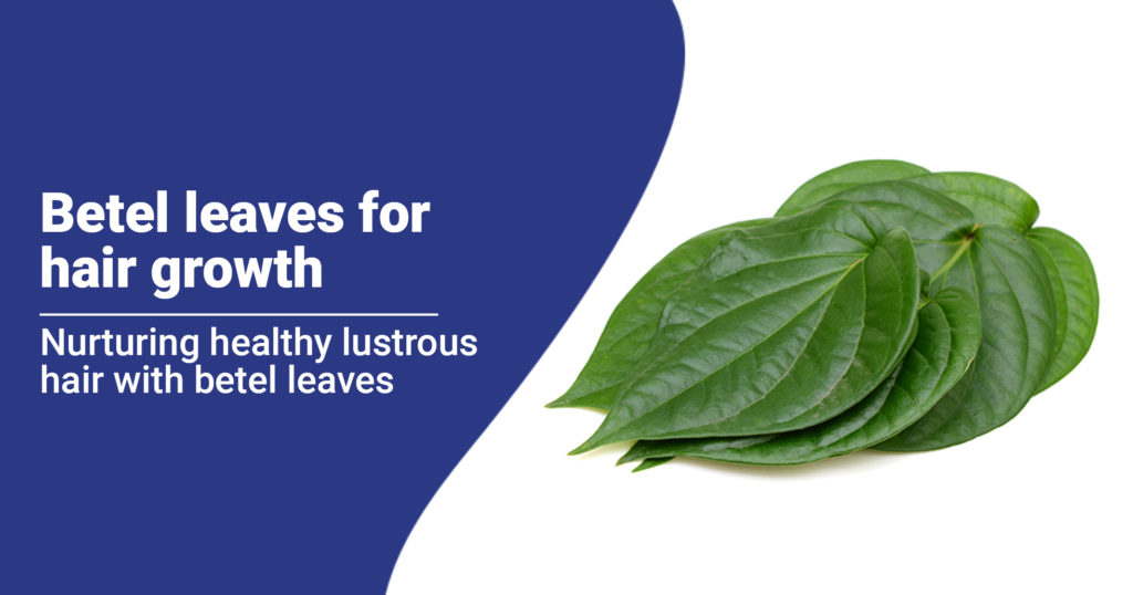 Betel leaves for hair growth