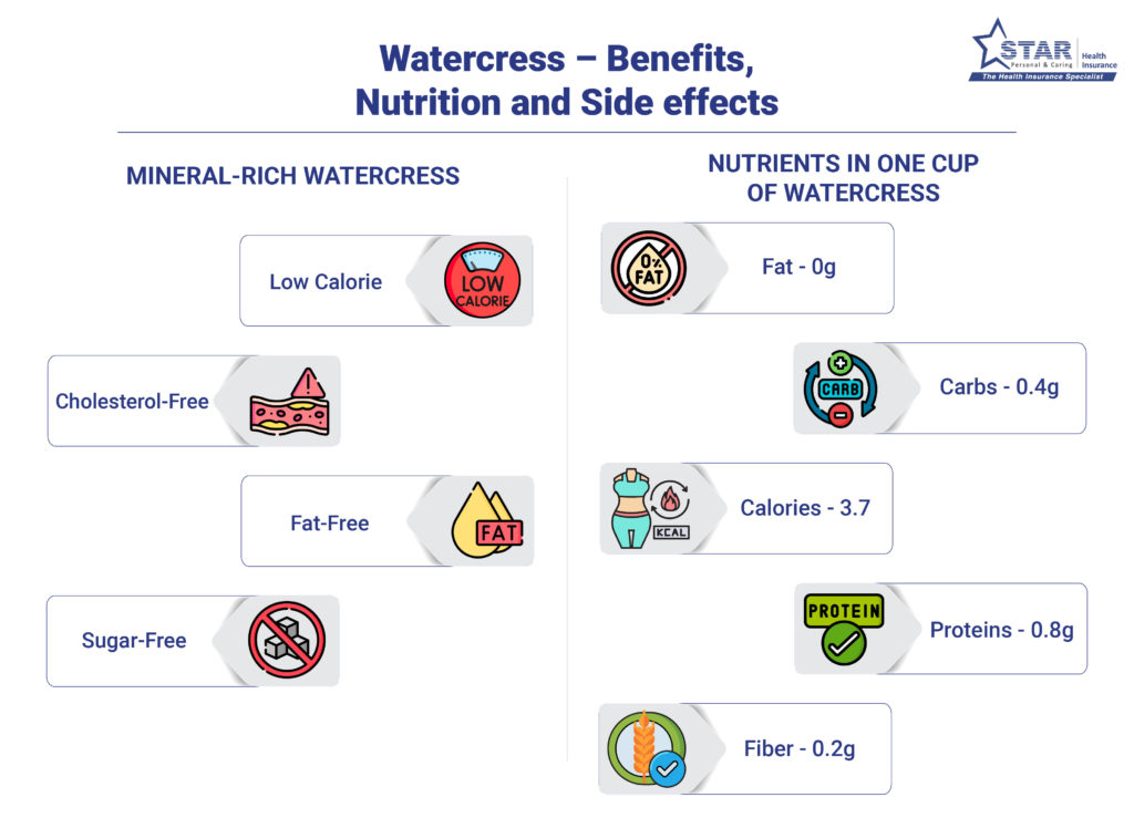 Watercress - Benefits , nutrition and side effects