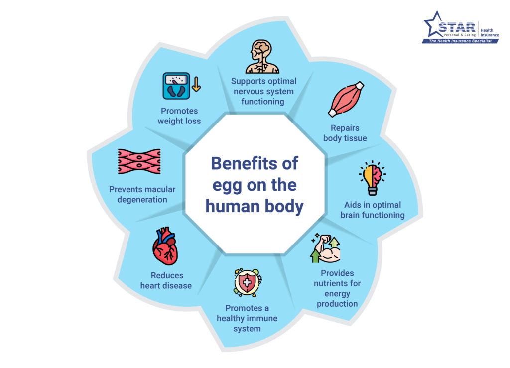 Benefits of egg on the human body
