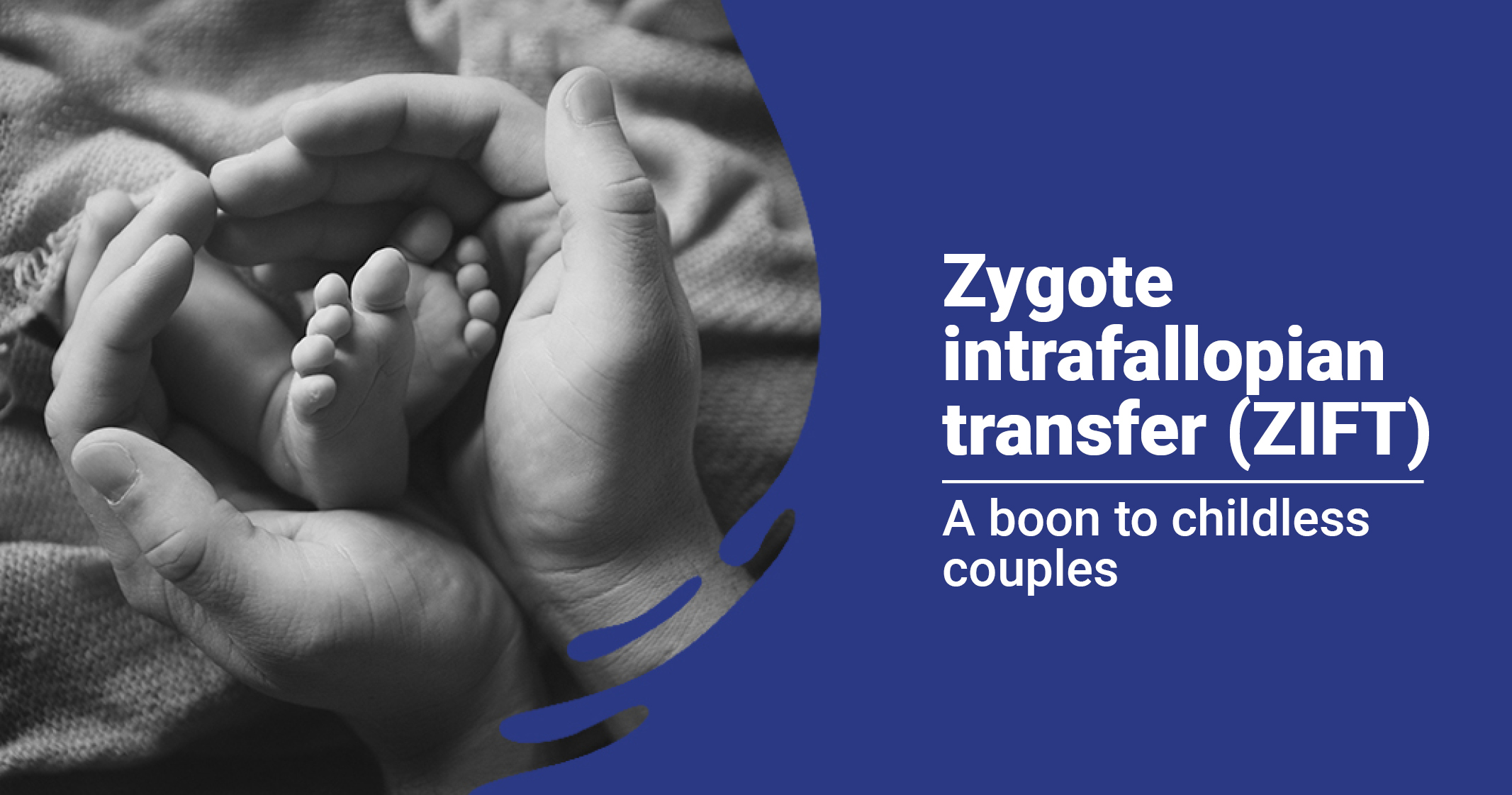 Infertility Solutions: Understanding IVF, ZIFT, and GIFT | Testbook.com